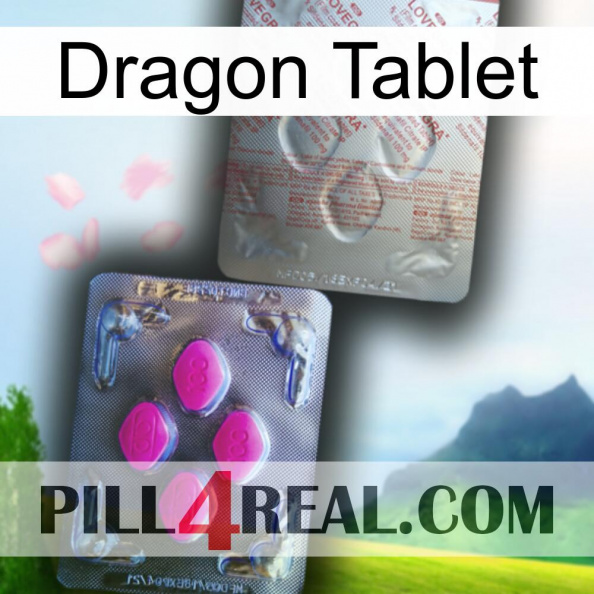 Dragon Tablet 38.jpg